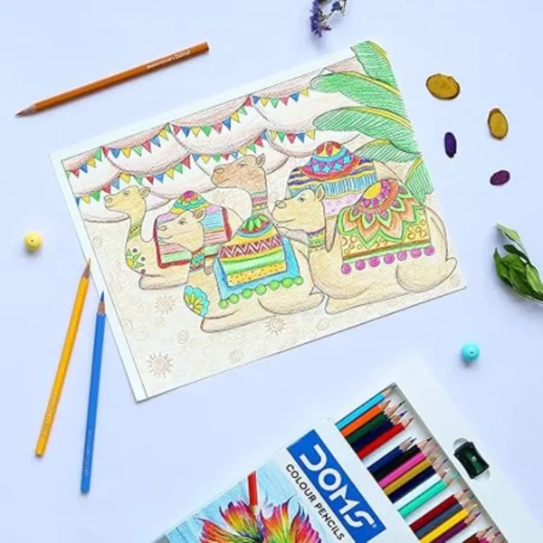 DOMS 12 Colour Pencil Flat Tin Pack | Pencil Colours