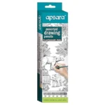 Apsara Assorted Drawing Pencils, Six Distinctive Grades (Hb, 2b, 4b, 6b, 8b, 10b) Includes Non-dust Eraser, for Artists, Pack of 6