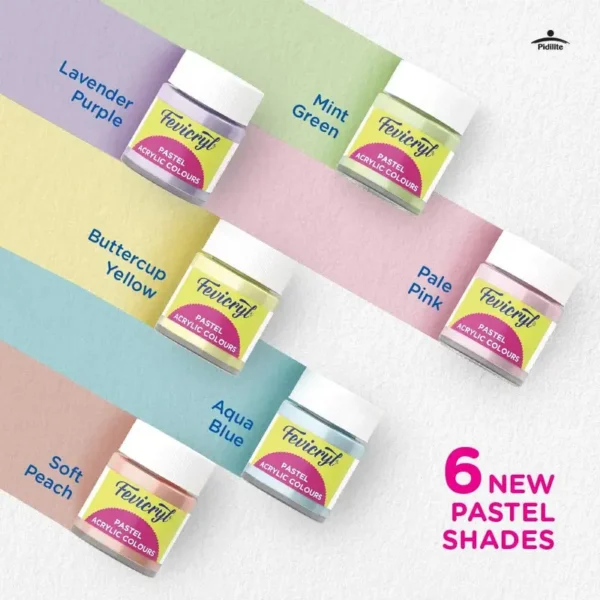 Fevicryl Pastel Acrylic Colours Kit 6 Shades X 15Ml