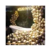 Tiger Golden HD Metallic Balloons Pack Golden Theme Party Decoration | Pack of 50 Balloons