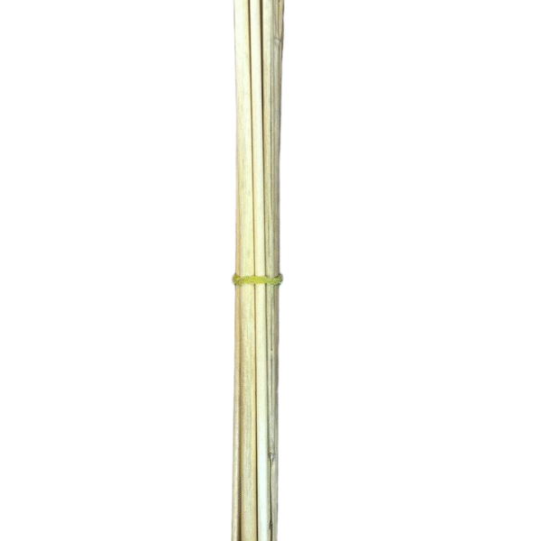 Bamboo stick For Projects| kulfi stick